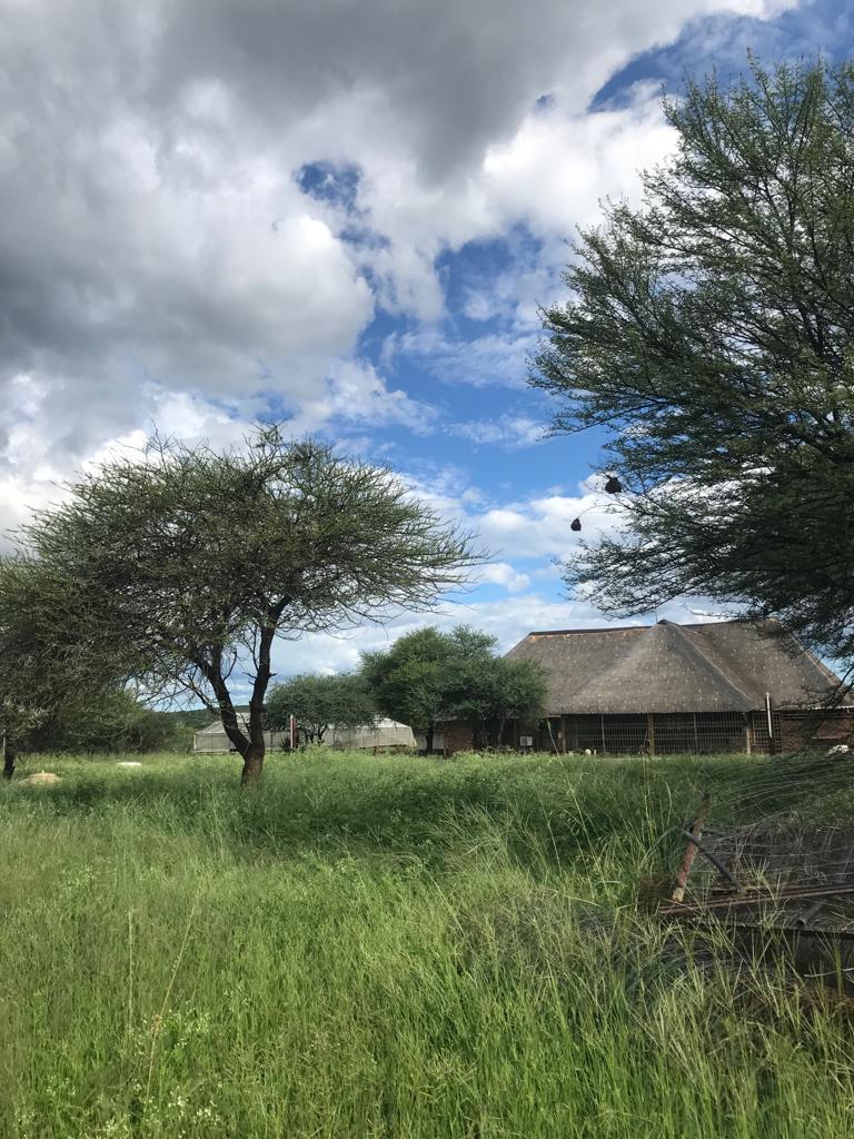 3 Bedroom Property for Sale in Arabie Limpopo