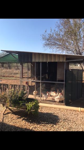 3 Bedroom Property for Sale in Arabie Limpopo