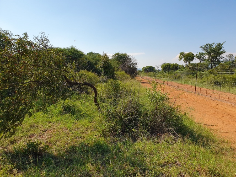 11 Bedroom Property for Sale in Groblersdal Limpopo