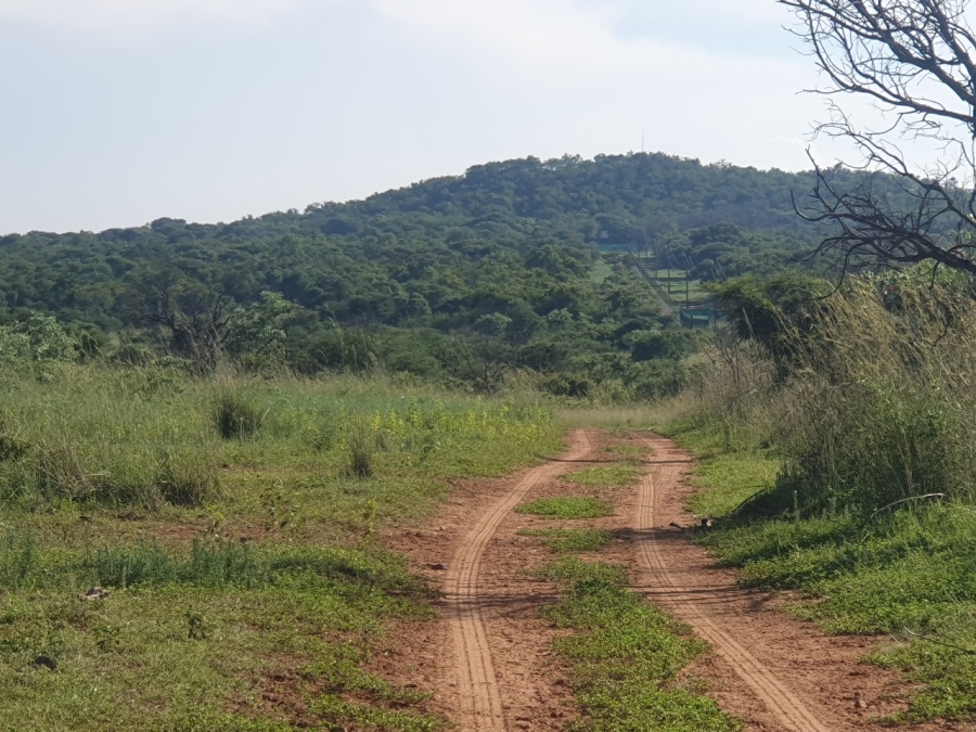 11 Bedroom Property for Sale in Groblersdal Limpopo