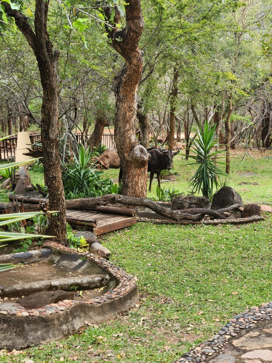 To Let 4 Bedroom Property for Rent in Blyde Botanical Reserve Limpopo