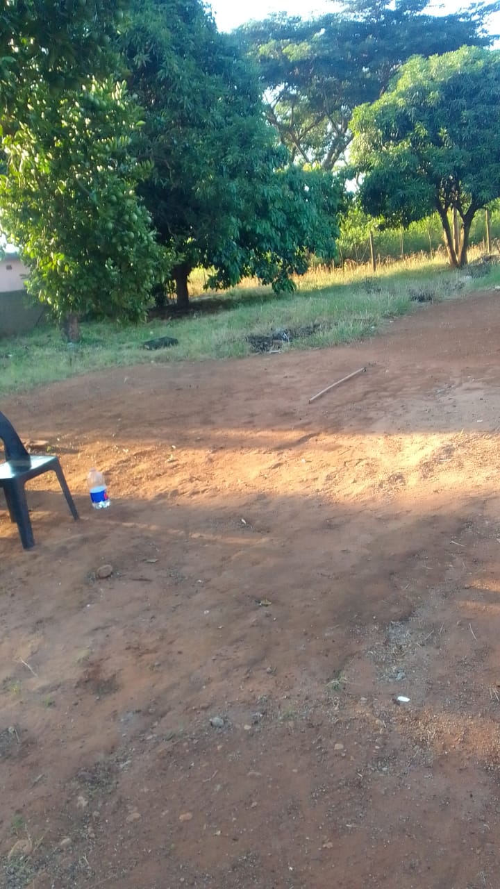 2 Bedroom Property for Sale in Khubvi Limpopo