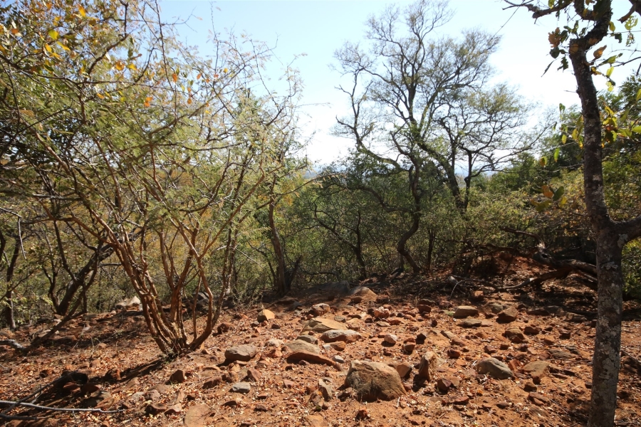 0 Bedroom Property for Sale in Canyon Game Reserve Limpopo