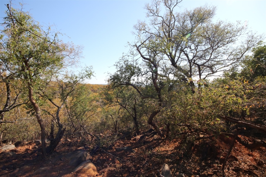 0 Bedroom Property for Sale in Canyon Game Reserve Limpopo