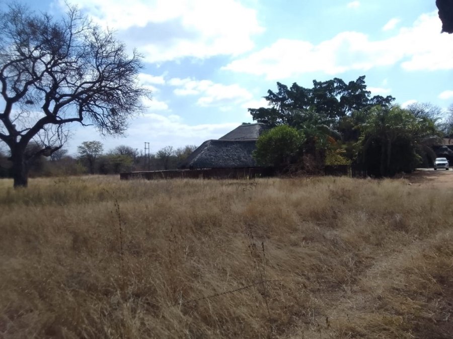 5 Bedroom Property for Sale in Phalaborwa Rural Limpopo