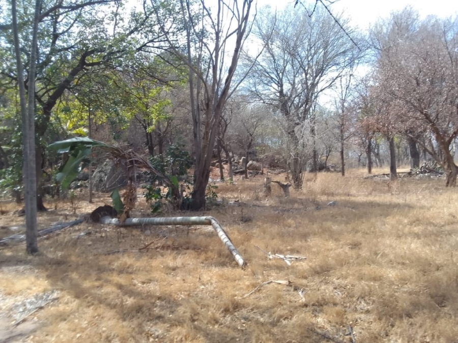 5 Bedroom Property for Sale in Phalaborwa Rural Limpopo