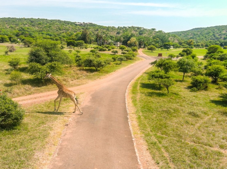 0 Bedroom Property for Sale in Bela Bela Limpopo