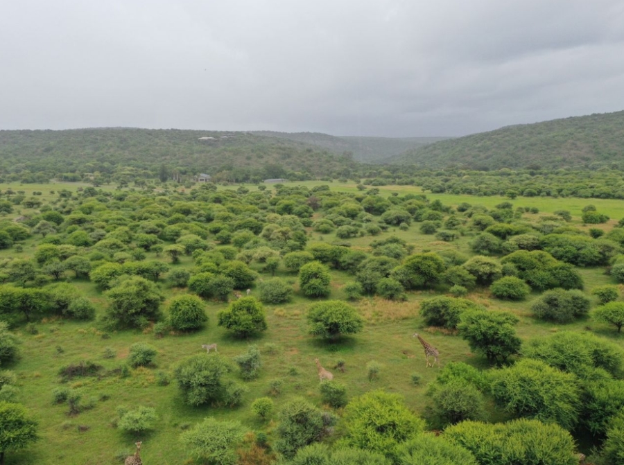 0 Bedroom Property for Sale in Bela Bela Limpopo