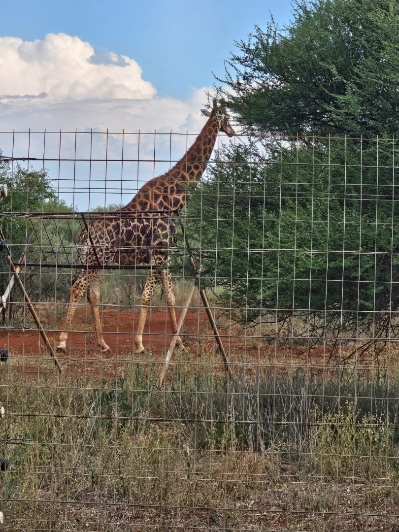 6 Bedroom Property for Sale in Thabazimbi Rural Limpopo