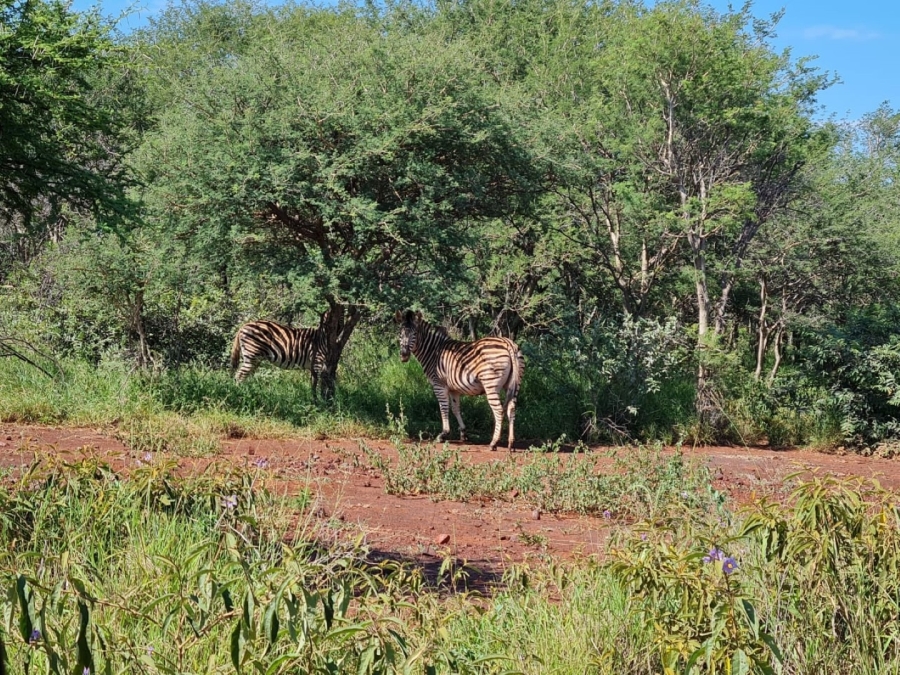 6 Bedroom Property for Sale in Thabazimbi Rural Limpopo