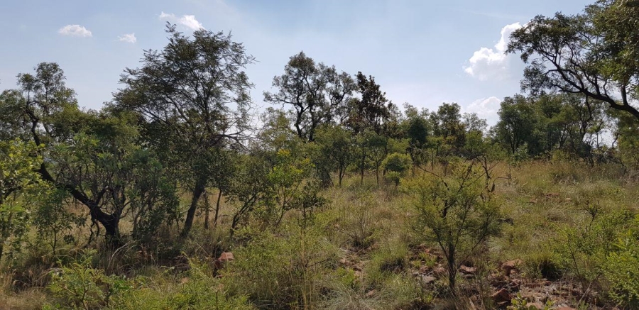 0 Bedroom Property for Sale in Highlands Wilderness Estate Limpopo