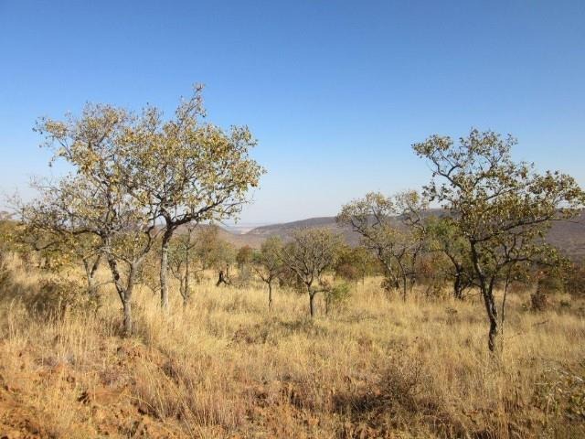 0 Bedroom Property for Sale in Highlands Wilderness Estate Limpopo