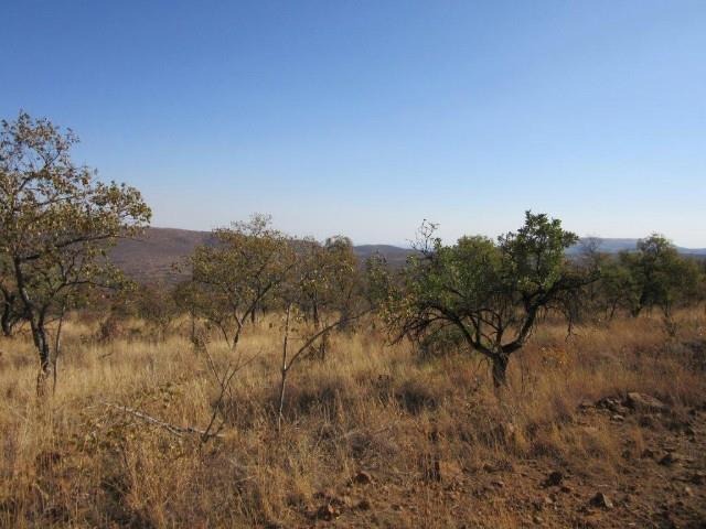 0 Bedroom Property for Sale in Highlands Wilderness Estate Limpopo