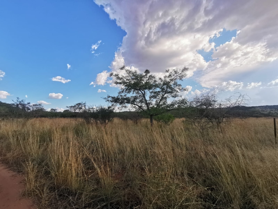 0 Bedroom Property for Sale in Polokwane Rural Limpopo