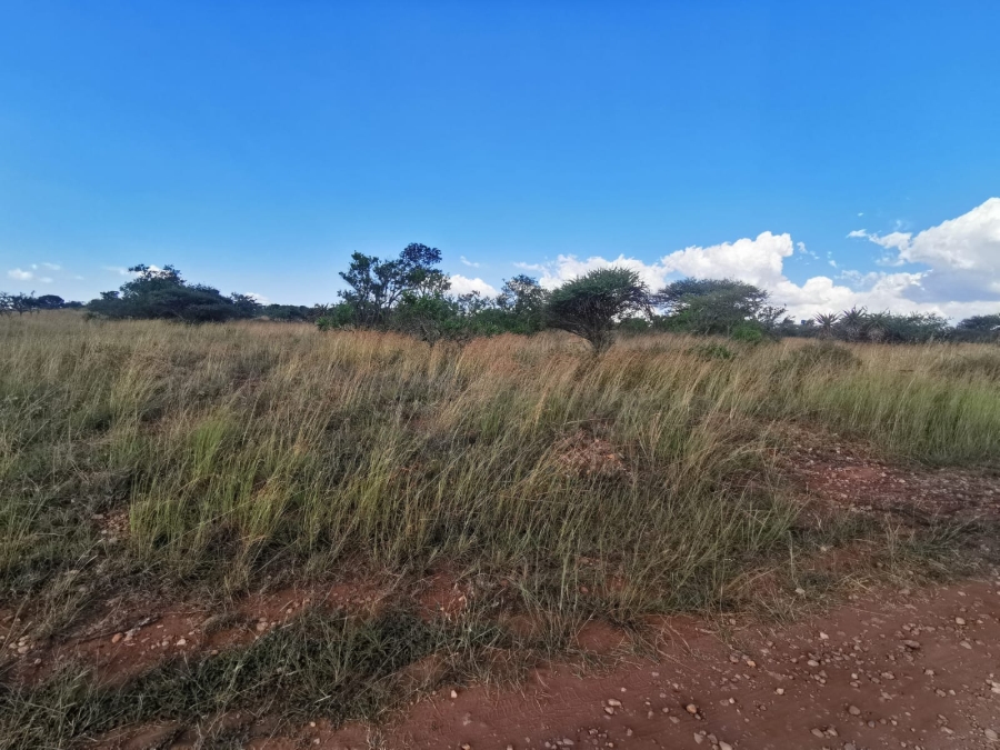 0 Bedroom Property for Sale in Polokwane Rural Limpopo