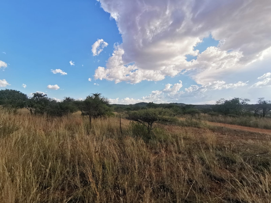 0 Bedroom Property for Sale in Polokwane Rural Limpopo