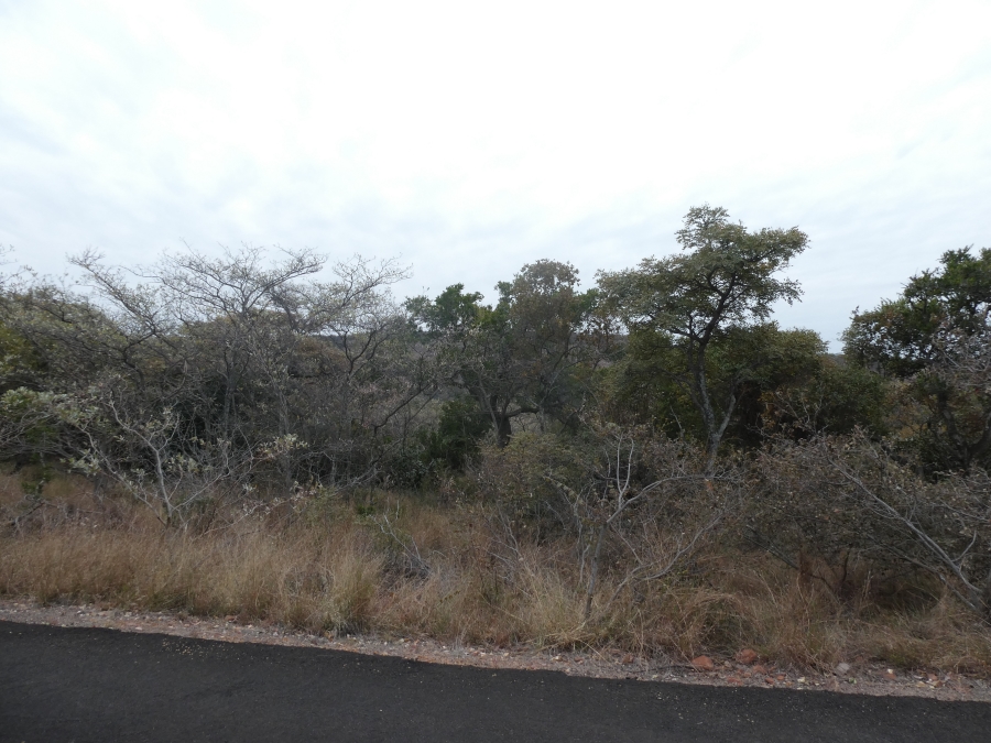 0 Bedroom Property for Sale in Intaba Indle Wilderness Estate Limpopo