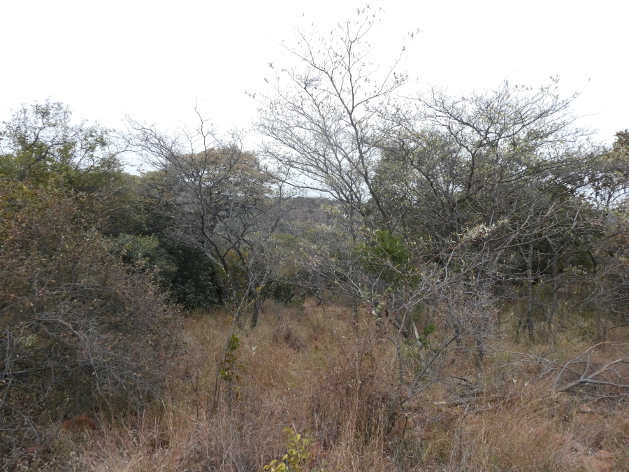 0 Bedroom Property for Sale in Intaba Indle Wilderness Estate Limpopo