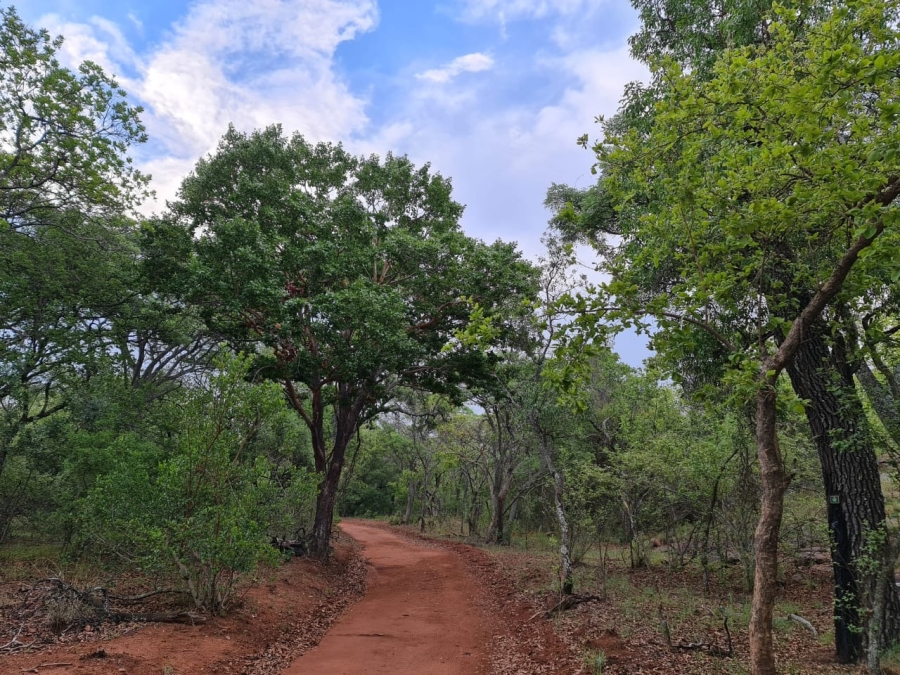 0 Bedroom Property for Sale in Ditholo Wildlife Estate Limpopo