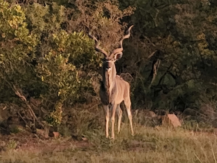 0 Bedroom Property for Sale in Verloren Estate Limpopo