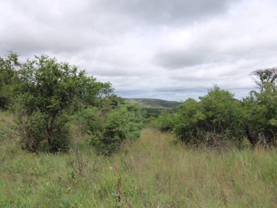 0 Bedroom Property for Sale in Bela Bela Limpopo