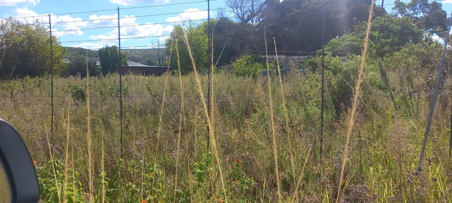 0 Bedroom Property for Sale in Bela Bela Limpopo