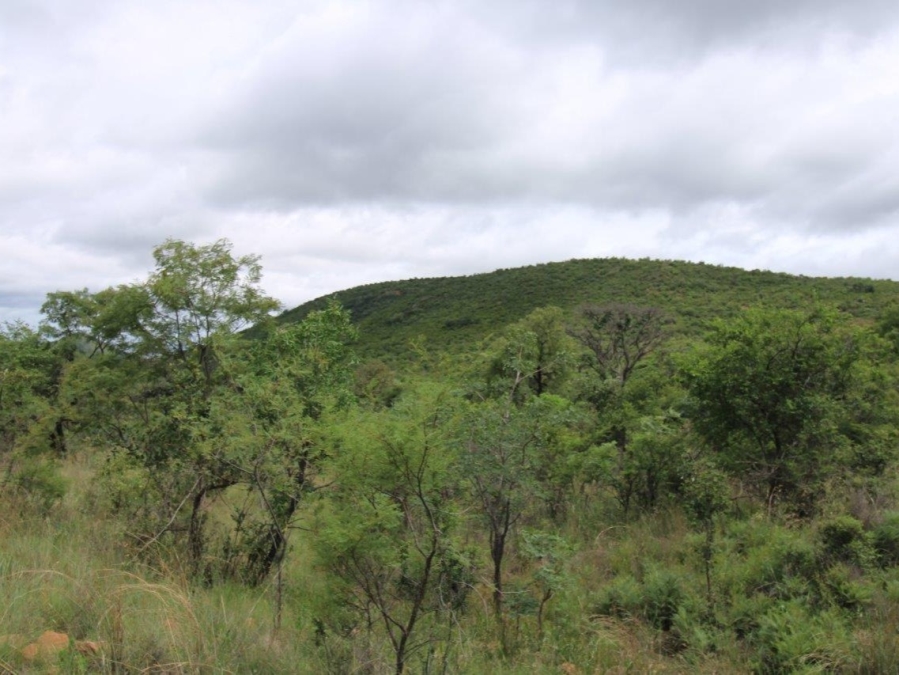 0 Bedroom Property for Sale in Bela Bela Limpopo