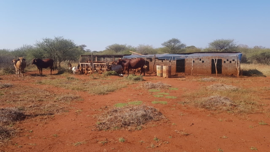 0 Bedroom Property for Sale in Wilderbeestaagte SH Limpopo