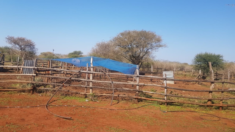 0 Bedroom Property for Sale in Wilderbeestaagte SH Limpopo