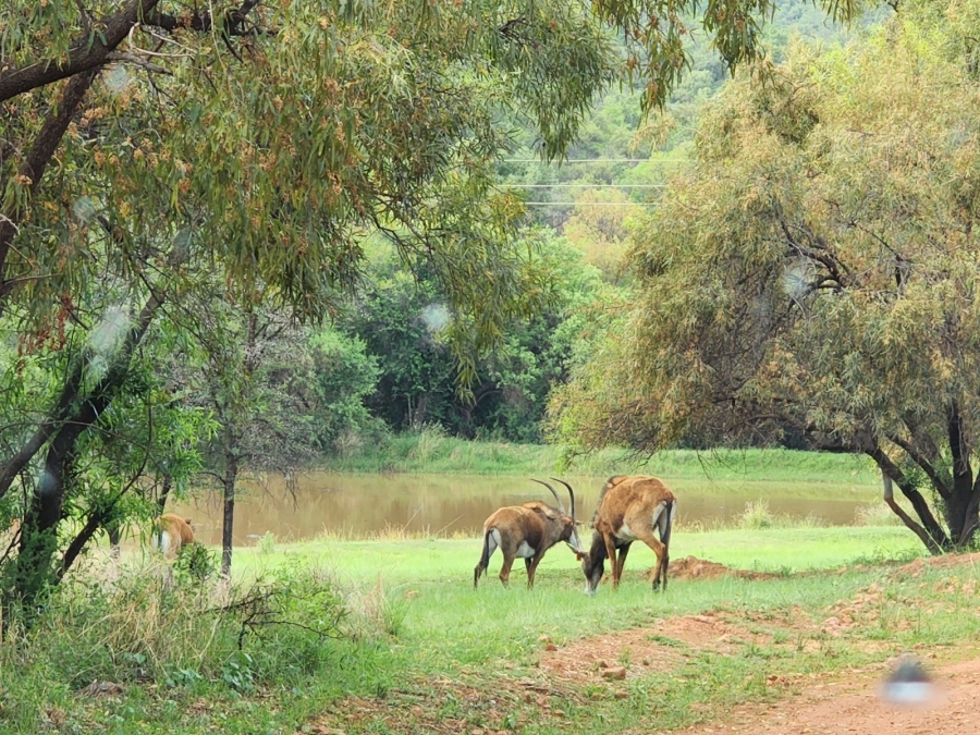 3 Bedroom Property for Sale in Highlands Wilderness Estate Limpopo