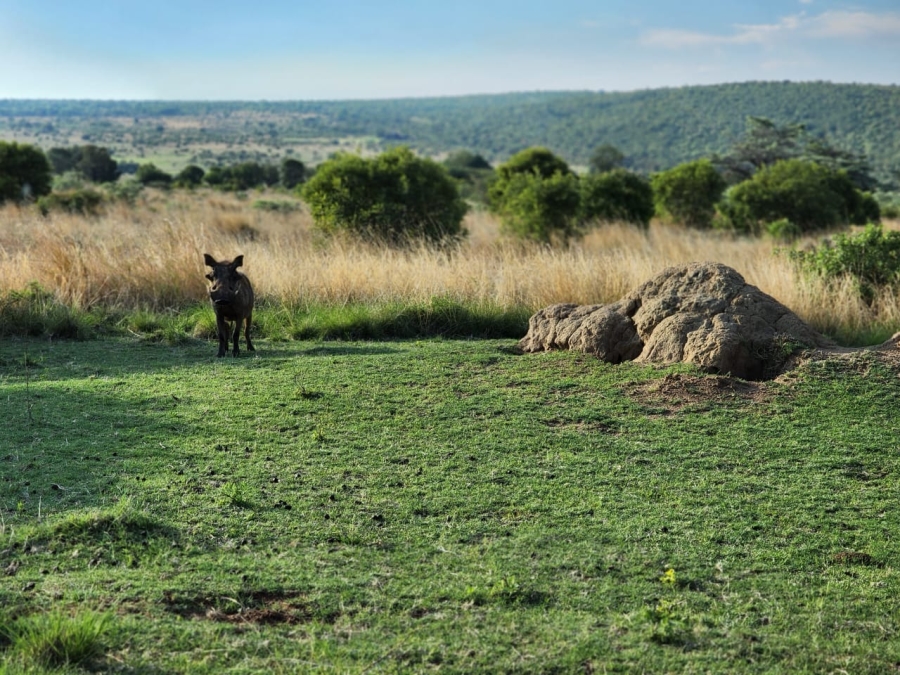 3 Bedroom Property for Sale in Highlands Wilderness Estate Limpopo