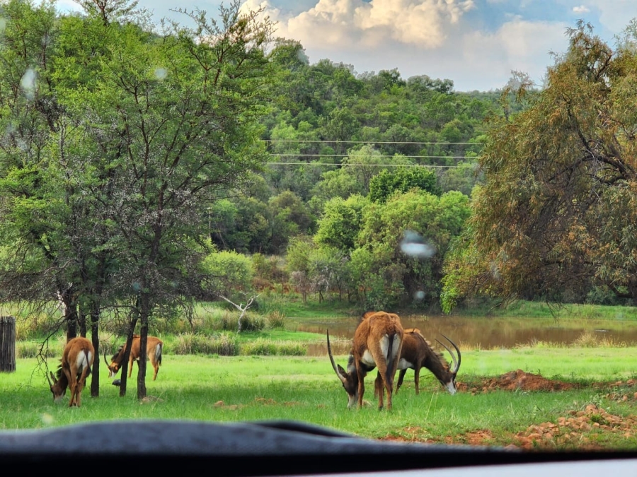 3 Bedroom Property for Sale in Highlands Wilderness Estate Limpopo