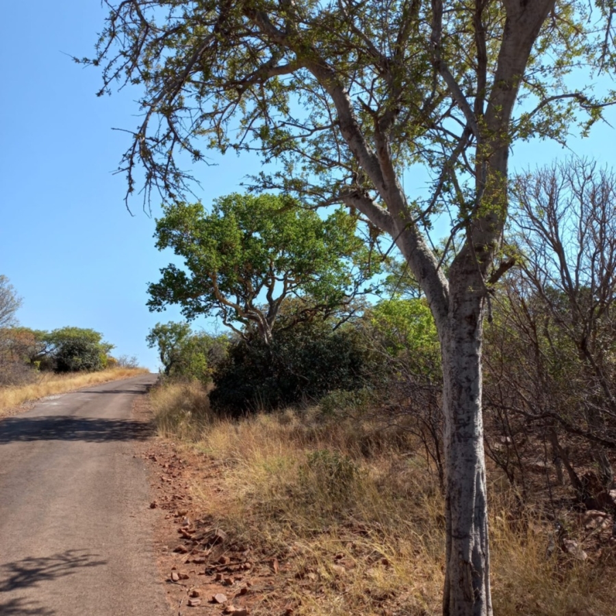 0 Bedroom Property for Sale in Intaba Indle Wilderness Estate Limpopo