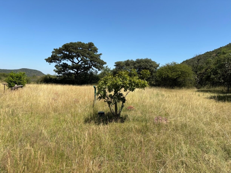 0 Bedroom Property for Sale in Bela Bela Limpopo