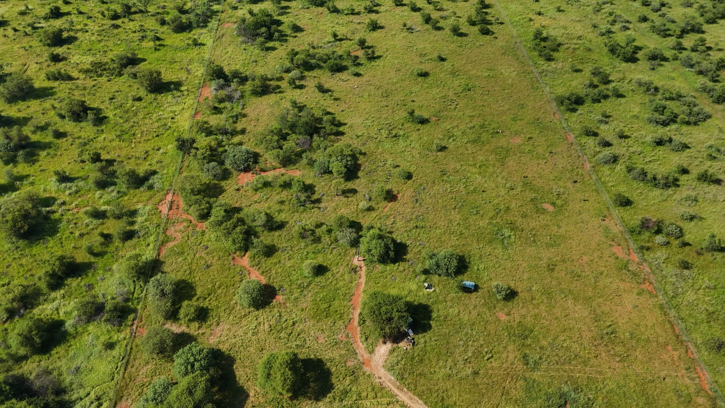 11 Bedroom Property for Sale in Bela Bela Limpopo