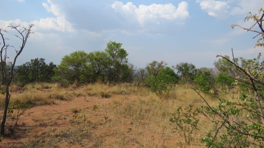 0 Bedroom Property for Sale in Modimolle Limpopo