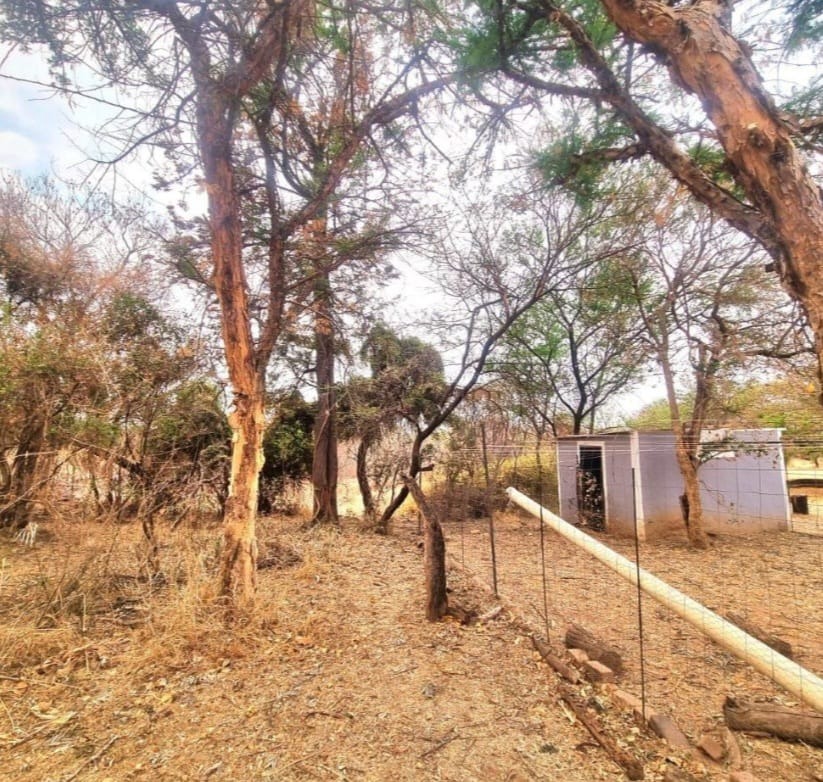 3 Bedroom Property for Sale in Bela Bela Limpopo