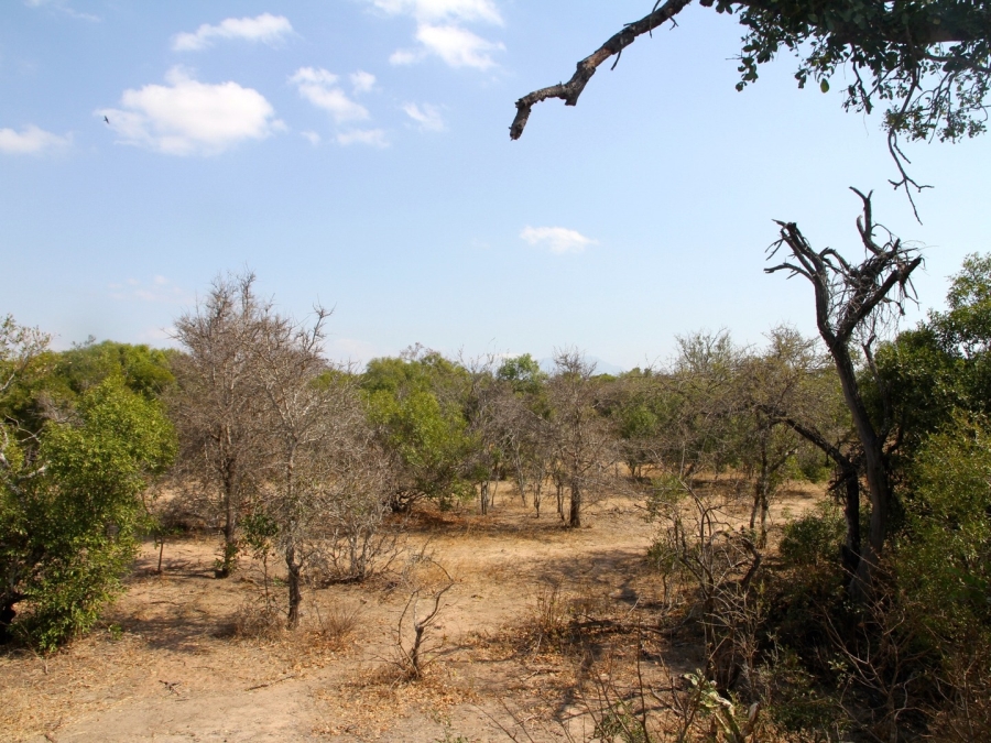 0 Bedroom Property for Sale in Moditlo Wildlife Estate Limpopo