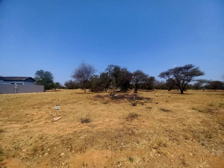 0 Bedroom Property for Sale in Bela Bela Limpopo