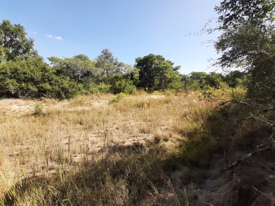 0 Bedroom Property for Sale in Moditlo Wildlife Estate Limpopo