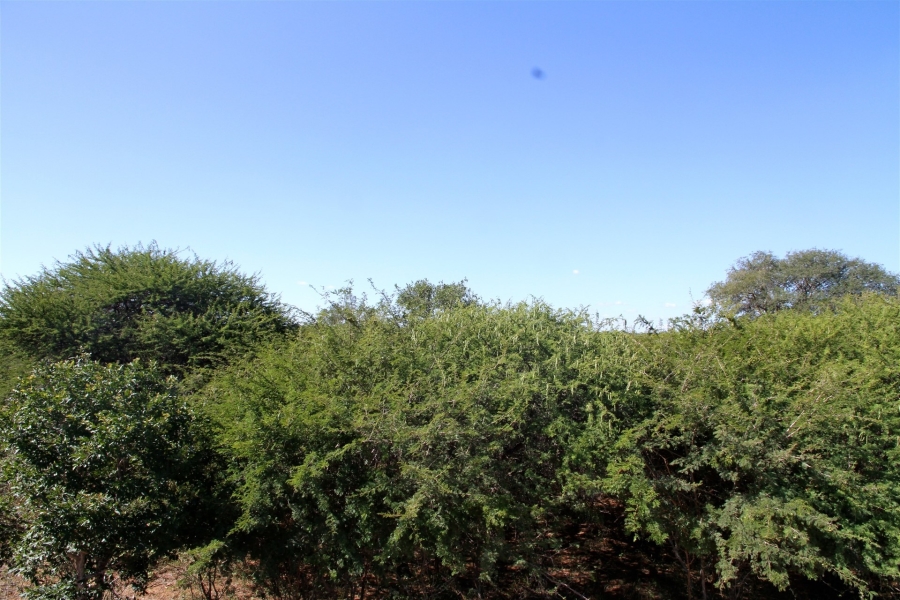 3 Bedroom Property for Sale in Moditlo Wildlife Estate Limpopo