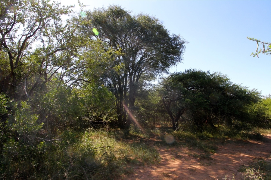 3 Bedroom Property for Sale in Moditlo Wildlife Estate Limpopo