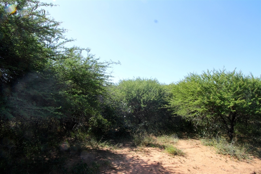 3 Bedroom Property for Sale in Moditlo Wildlife Estate Limpopo