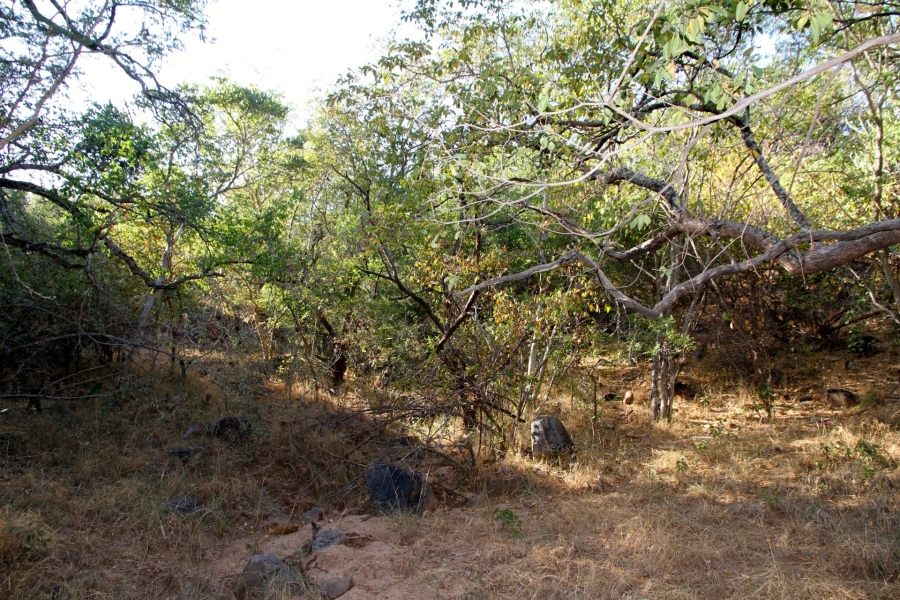 0 Bedroom Property for Sale in Blyde River Nature Reserve Limpopo