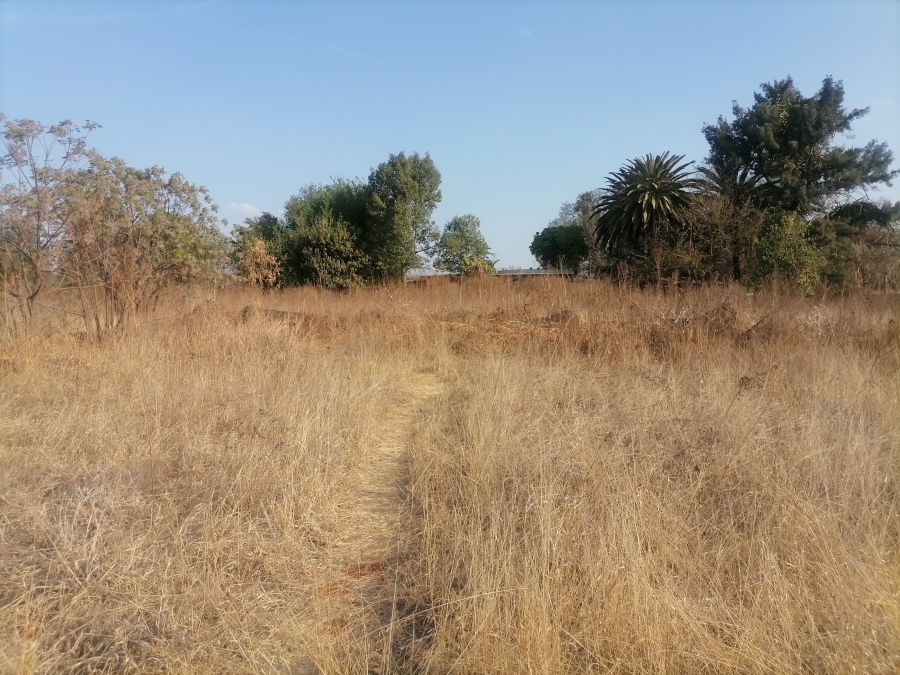 Commercial Property for Sale in Ivydale A H Limpopo