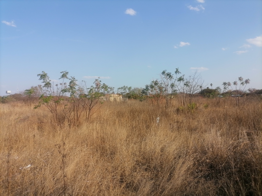 Commercial Property for Sale in Ivydale A H Limpopo