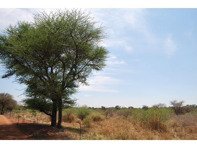 0 Bedroom Property for Sale in Northam Limpopo