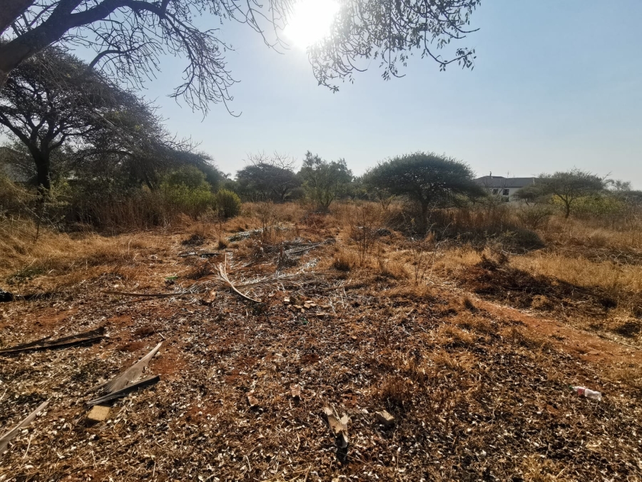 0 Bedroom Property for Sale in Bendor Limpopo