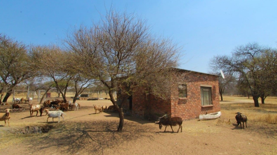 3 Bedroom Property for Sale in Modimolle Limpopo