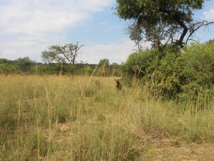 Commercial Property for Sale in Modimolle Limpopo